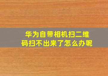 华为自带相机扫二维码扫不出来了怎么办呢