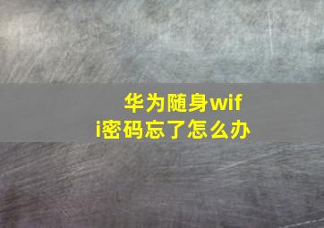 华为随身wifi密码忘了怎么办