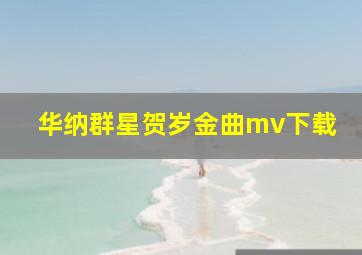 华纳群星贺岁金曲mv下载