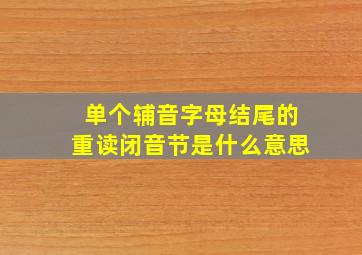 单个辅音字母结尾的重读闭音节是什么意思