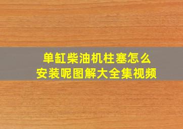 单缸柴油机柱塞怎么安装呢图解大全集视频