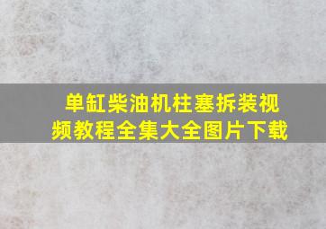 单缸柴油机柱塞拆装视频教程全集大全图片下载