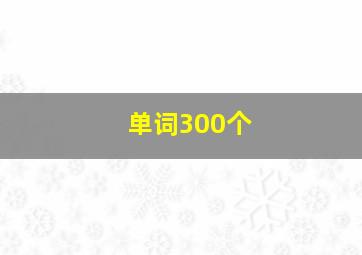 单词300个