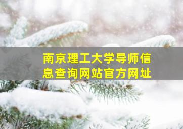 南京理工大学导师信息查询网站官方网址