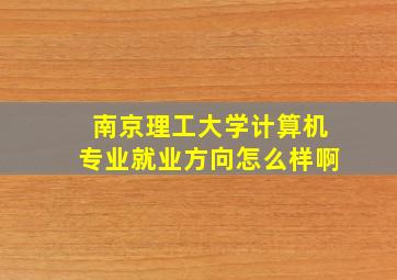 南京理工大学计算机专业就业方向怎么样啊