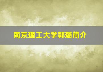 南京理工大学郭璐简介