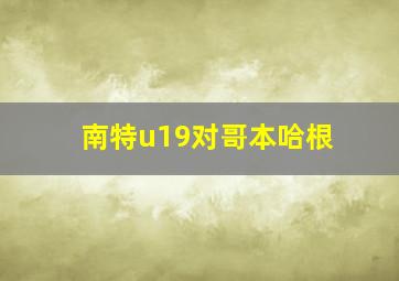 南特u19对哥本哈根