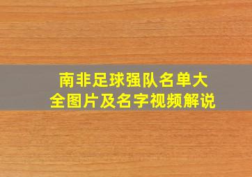 南非足球强队名单大全图片及名字视频解说