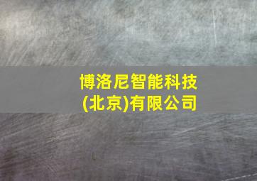 博洛尼智能科技(北京)有限公司