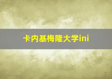 卡内基梅隆大学ini