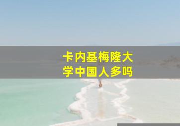 卡内基梅隆大学中国人多吗