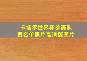 卡塔尔世界杯参赛队员名单照片高清版图片