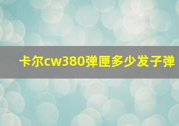 卡尔cw380弹匣多少发子弹