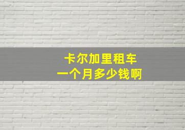 卡尔加里租车一个月多少钱啊