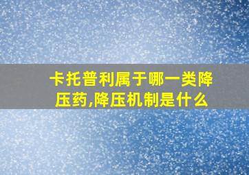 卡托普利属于哪一类降压药,降压机制是什么