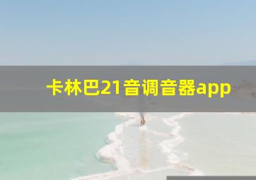 卡林巴21音调音器app