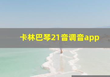 卡林巴琴21音调音app