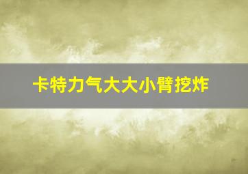 卡特力气大大小臂挖炸