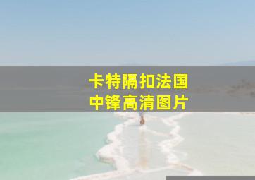 卡特隔扣法国中锋高清图片