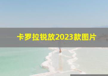 卡罗拉锐放2023款图片