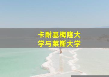 卡耐基梅隆大学与莱斯大学