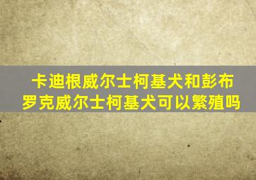 卡迪根威尔士柯基犬和彭布罗克威尔士柯基犬可以繁殖吗