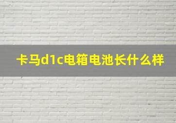 卡马d1c电箱电池长什么样