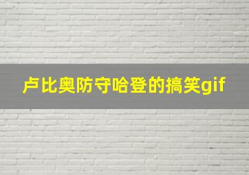 卢比奥防守哈登的搞笑gif