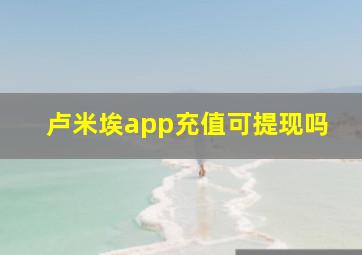 卢米埃app充值可提现吗