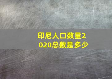 印尼人口数量2020总数是多少