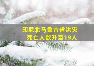 印尼北马鲁古省洪灾死亡人数升至19人