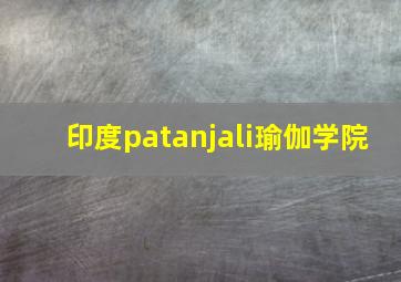 印度patanjali瑜伽学院