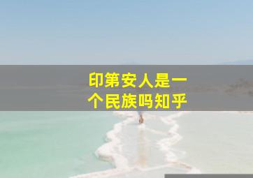 印第安人是一个民族吗知乎