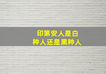 印第安人是白种人还是黑种人