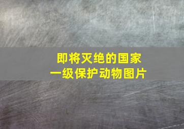 即将灭绝的国家一级保护动物图片