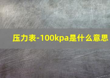 压力表-100kpa是什么意思