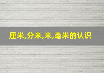 厘米,分米,米,毫米的认识