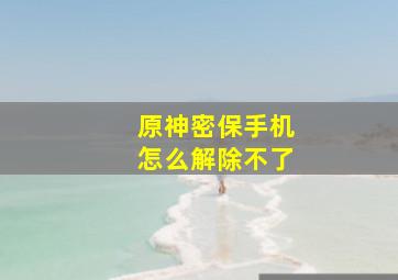 原神密保手机怎么解除不了