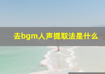 去bgm人声提取法是什么