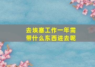 去埃塞工作一年需带什么东西进去呢