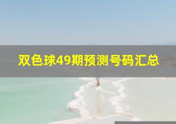 双色球49期预测号码汇总