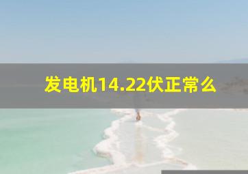 发电机14.22伏正常么