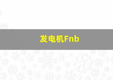 发电机Fnb