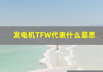 发电机TFW代表什么意思