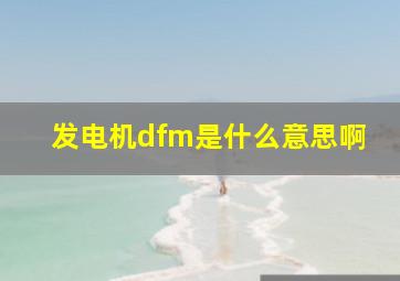 发电机dfm是什么意思啊