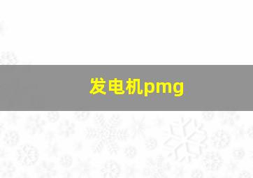 发电机pmg