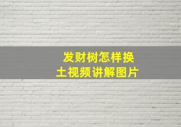 发财树怎样换土视频讲解图片