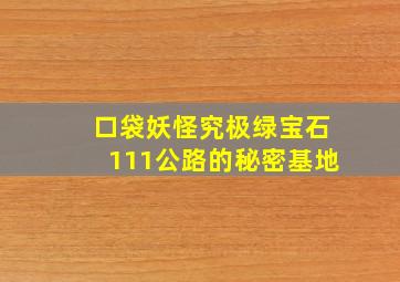 口袋妖怪究极绿宝石111公路的秘密基地