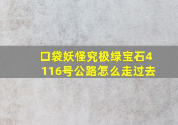 口袋妖怪究极绿宝石4116号公路怎么走过去