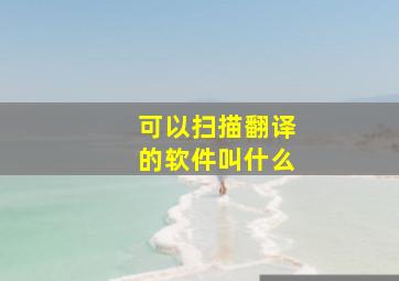 可以扫描翻译的软件叫什么